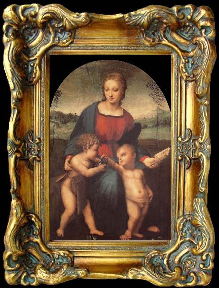 framed  Aragon jose Rafael The Madonna of the goldfinch, Ta045